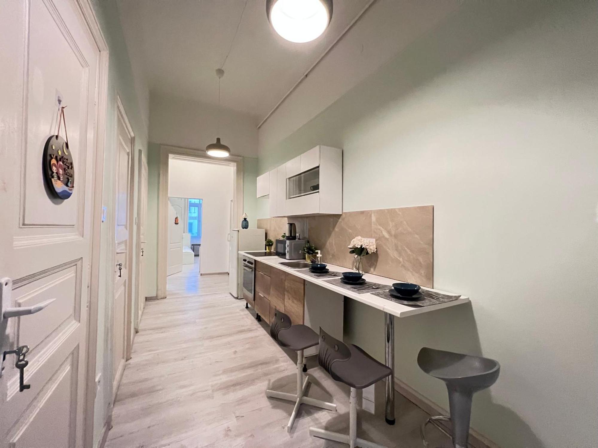 Baross Apartment With Convenience And Style Budapest Luaran gambar